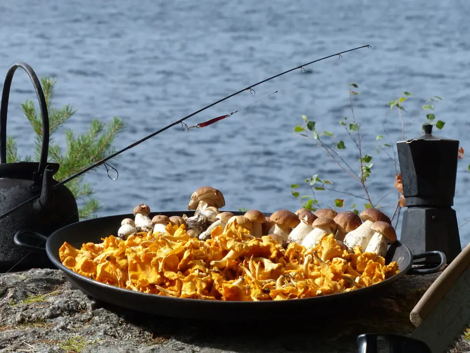Kochen am Lagerfeuer auf Kanutour